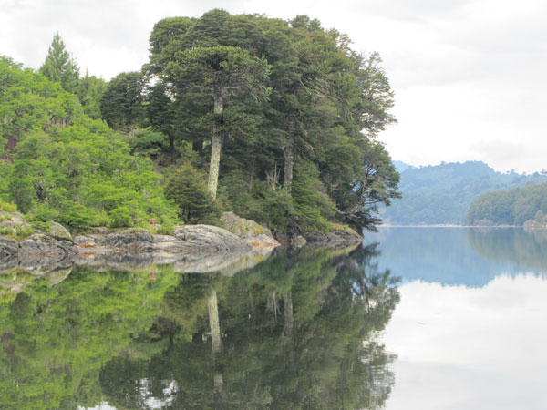 Excursiones en Moquehue